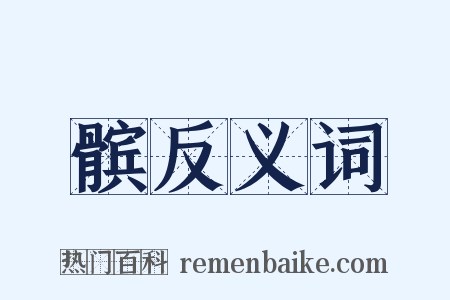 髌反义词是什么意思的图片